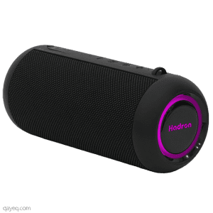 speaker hadron BTS115