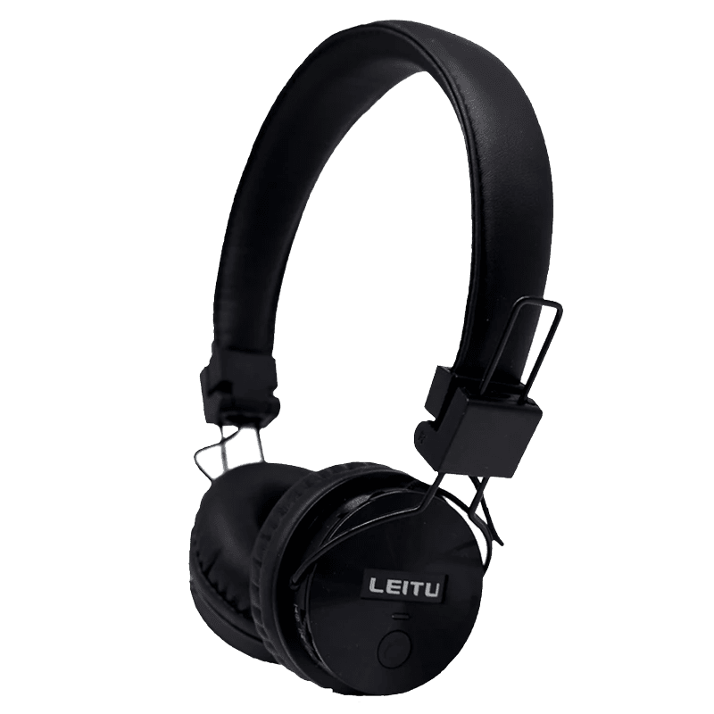 L-16---1 Leitu L-16---1