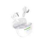 green lion cairo---5