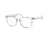 Green Lion Hamburg Smart Glass